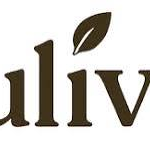 Tulivu Hospitality_982.png Tulivu Hospitality_982.png